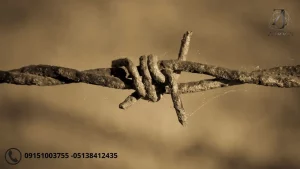 خرید طلا در جنگ